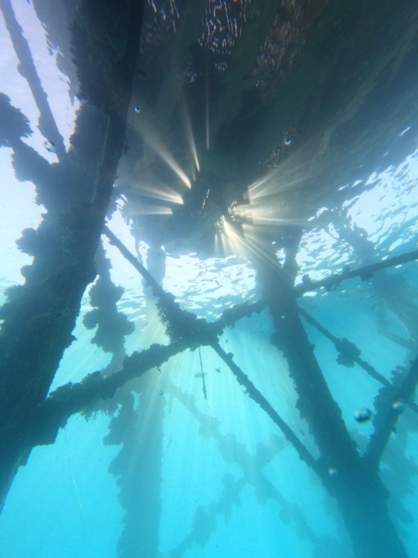 10 days diving (20-dives)