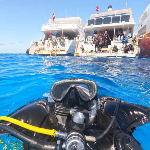 7-days-diving-(14-dives)