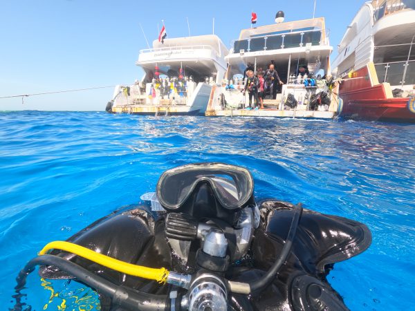 7-days-diving-(14-dives)