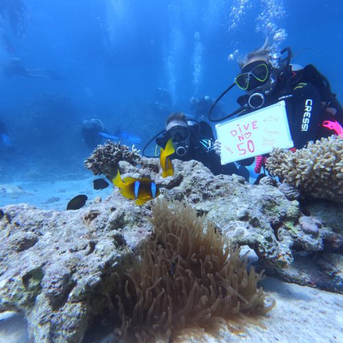 4-days-diving-(8-dives)