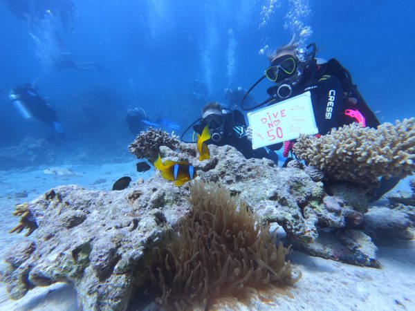 4-days-diving-(8-dives)