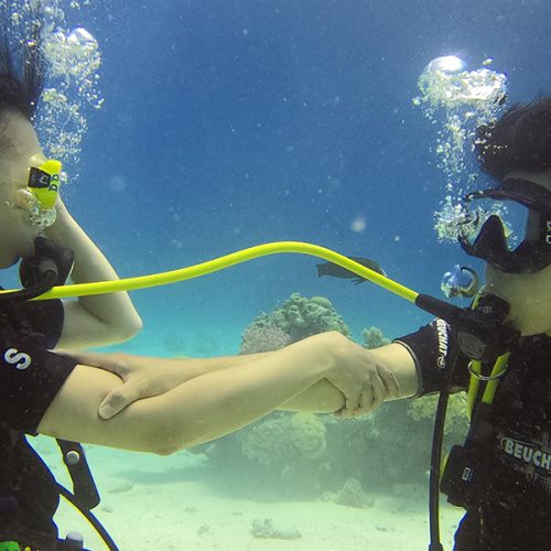 PADI Enriched Air Nitrox