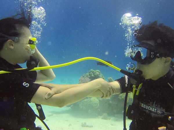 PADI Enriched Air Nitrox