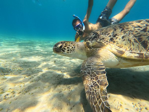 Orange Bay Island Hurghada