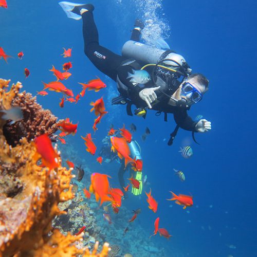 Day Diving (2-dives) — Hurghada