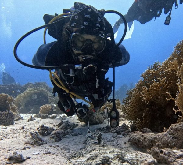 WhatsApp Image 2026-01-26 at 1.57.58 AM PADI Divemaster