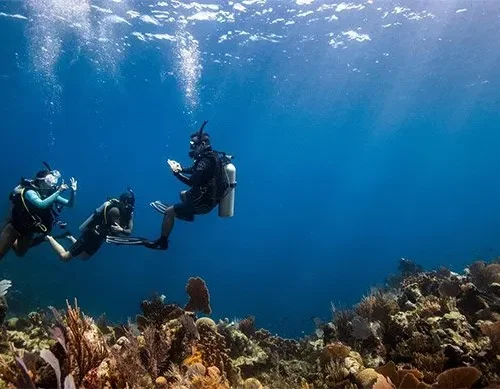 Discover Scuba Diving