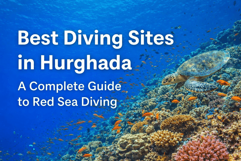 7 Best Diving Sites in Hurghada – Complete Red Sea Diving Guide 7 Best Diving Sites in Hurghada – A Complete Guide to Red Sea Diving 1