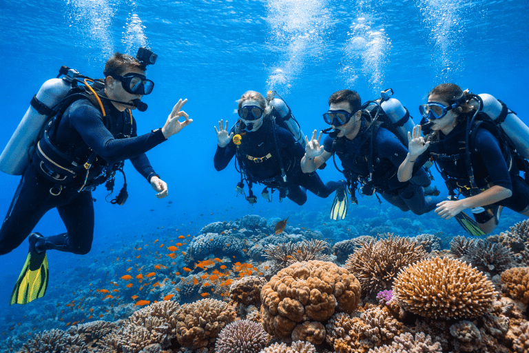 7 Best PADI Diving Courses in Hurghada – Complete Red Sea Guide 6 PADI Diving Courses in Hurghada | Open Water & Advanced Diving