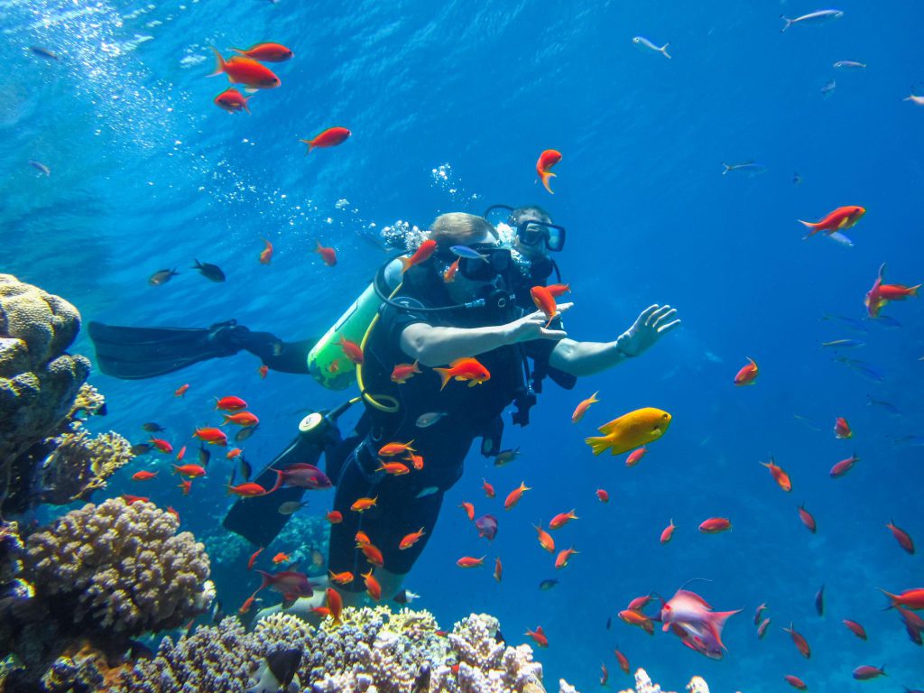 10 Best Diving Spots in Hurghada for an Amazing Red Sea Experience 1 Hurghada