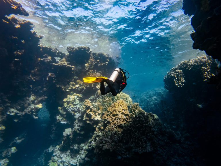 Tauchen in Hurghada 5 Tauchen in Hurghada im Roten Meer mit bunten Korallenriffen